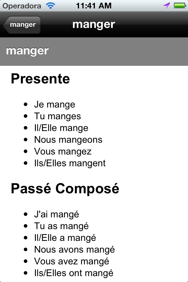 French Exercises screenshot 4