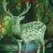 Dear Hunter - 2016 Hunt-ing Elite Challenge is the realistic and interesting hunting experience 