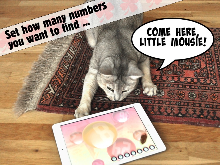 Lucky Cat Lottery Numbers - Catch Game For Cats screenshot-0