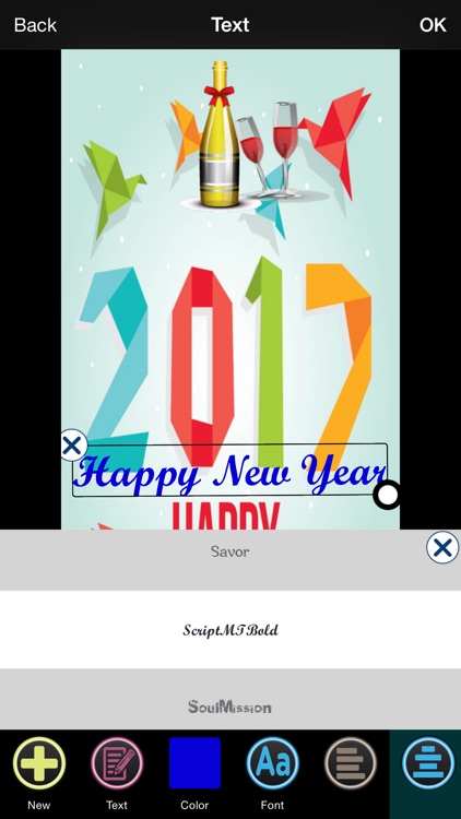 New Year Greeting Cards Maker screenshot-4