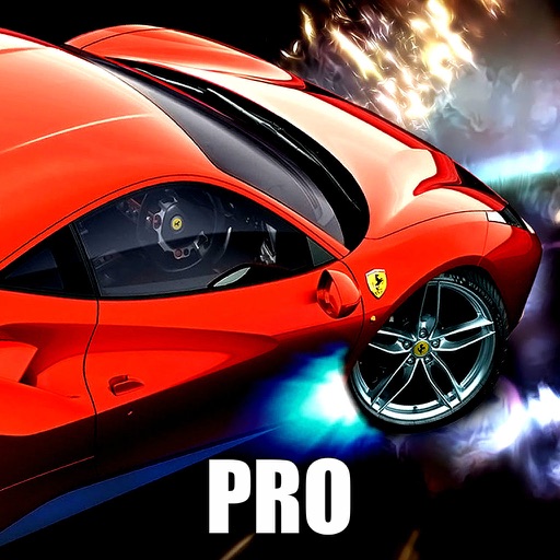 Action Highway Fire Zone Pro Icon