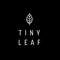 Tiny Leaf is London's first zero-waste restaurant