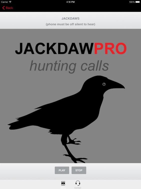 Jackdaw Calls for Hunting - HD