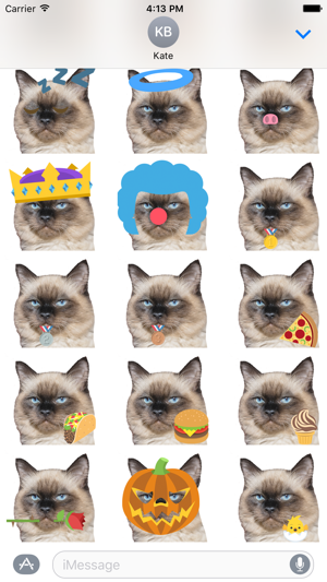 Cat Emoji Sticker Pack(圖4)-速報App