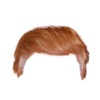 ElectionMoji - Trump Hair Stickers Pack