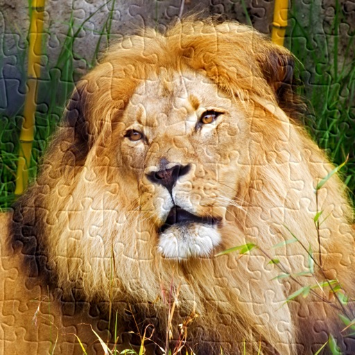 Animal Photo Jigsaw Puzzle Games HD Icon