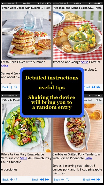 400 Salsa Recipes