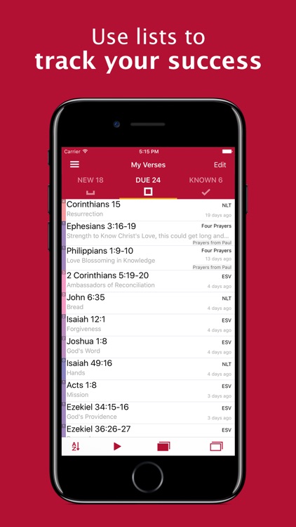 Bible Memory: Remember Me