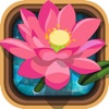Bloom-Flower Of Life