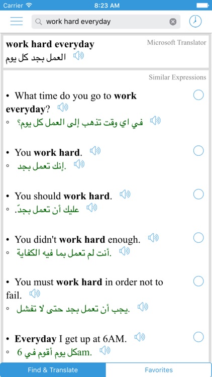 Arabic Translator, Offline English Dictionary screenshot-4