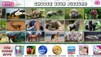 Puzzles of Animals Free screenshot 3