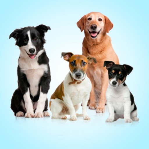 Real Dogs! Cute Puppies! icon