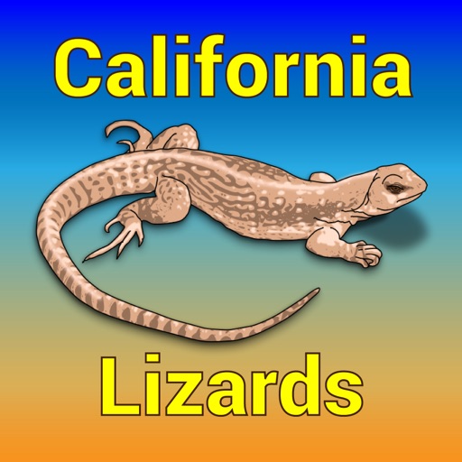 California Lizards - Guide to Common Species