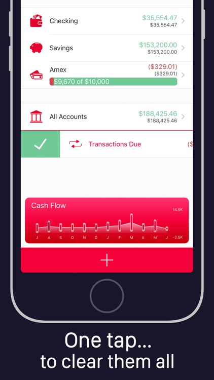 Money Pro - Personal Finance Manager, Spending Tracker, Account Cashflow & Budget Planner screenshot-3