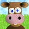 Simoo - Simple Simon says game with cows