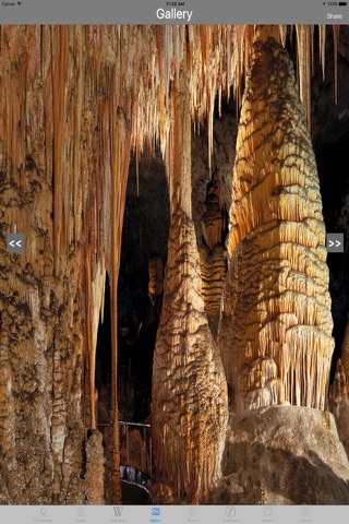 Carlsbad Caverns National Park - USA Tourist Guide screenshot 2