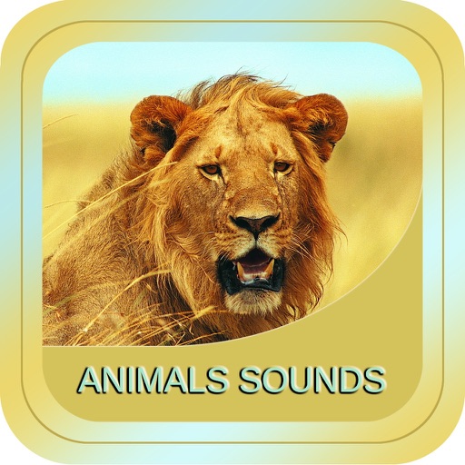 Animal Soundx Icon