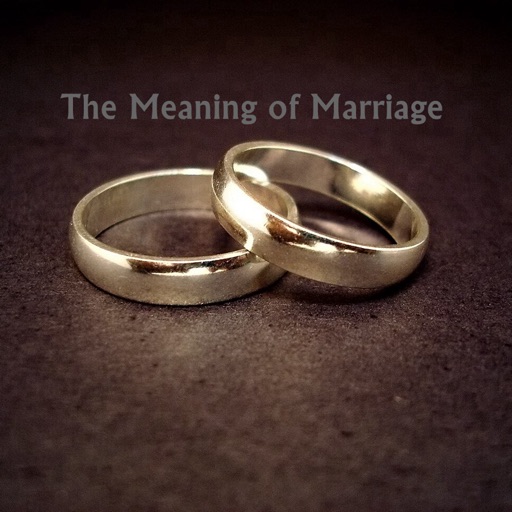 Quick Wisdom from The Meaning of Marriage