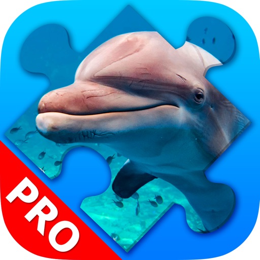 Dolphin Jigsaw Puzzles beautiful Scenery. Premium iOS App