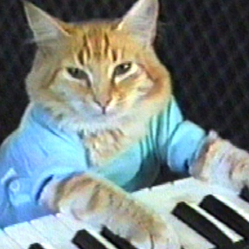 Keyboard Cat Stickers! Icon