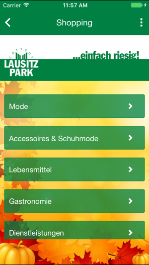 Lausitz Park Cottbus(圖3)-速報App