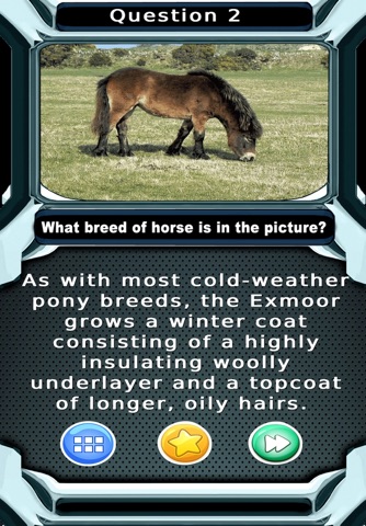 My Horse & Pony Breeds Quiz screenshot 3