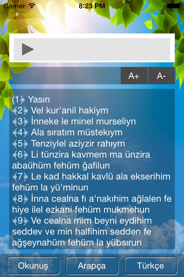 Yasin Suresi Dinle screenshot 2