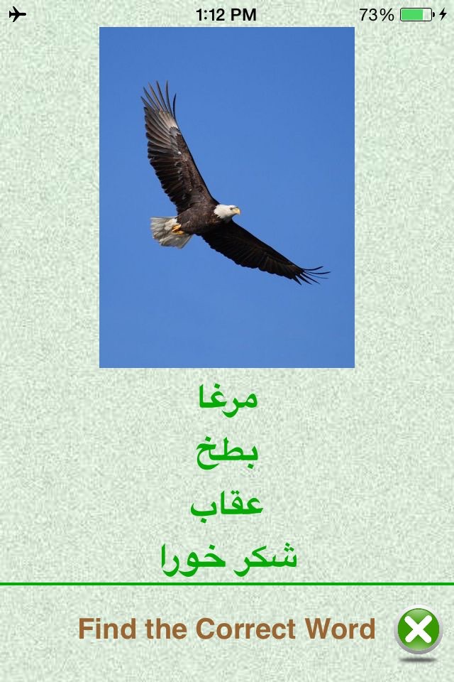 Flashcards Urdu Lesson screenshot 3