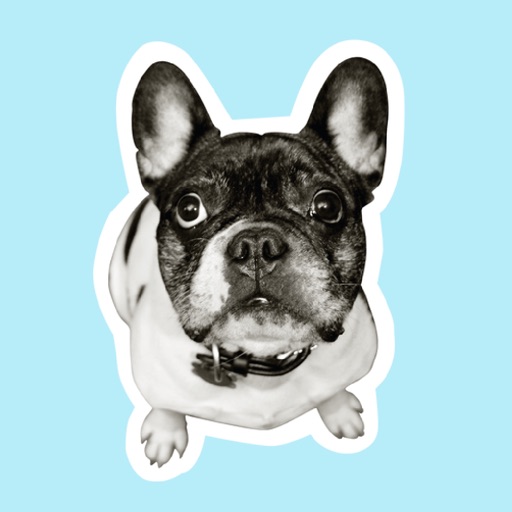 From Frank Pet Speak Stickers icon