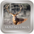 Hunting Calls: All in One