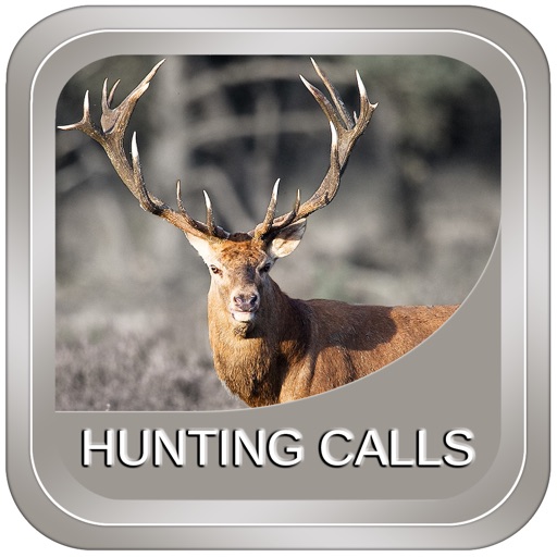 Hunting Calls: All in One Download