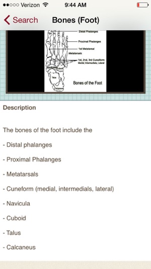 Wound Central(圖4)-速報App