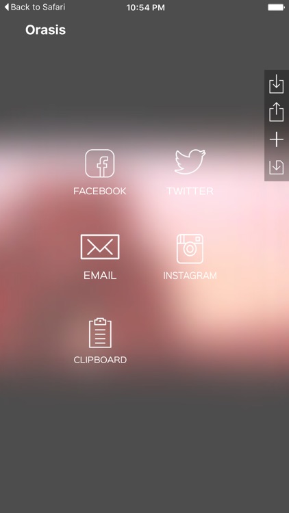 Orasis screenshot-4