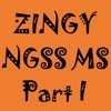 Zingy NGSS Middle School Part I