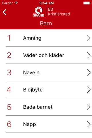 BB Kristianstad screenshot 2