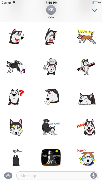 Funny Husky Dog Sticker