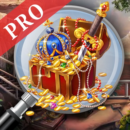 Hidden Object : Vintage Treasures Mystery Pro