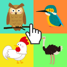 Activities of Puzzle Bird for Kids