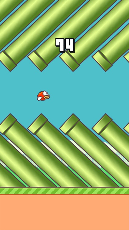 Fabe Bird - The Flappy Challenge Adventure screenshot-3