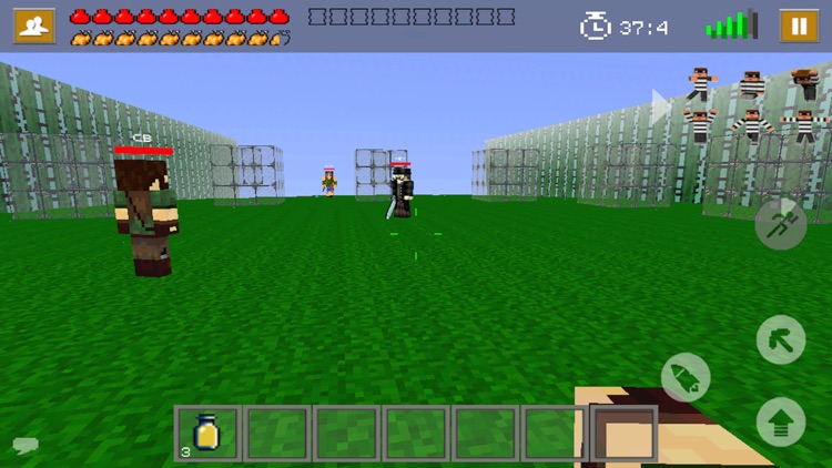 Survival Games: Mine Mini Game screenshot-4
