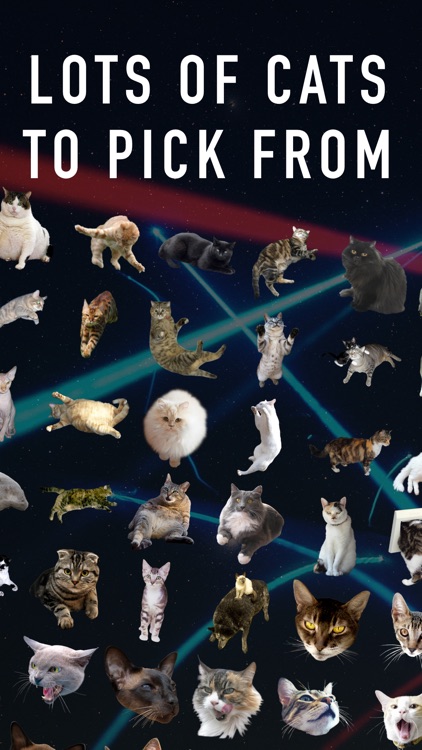 CatPaint