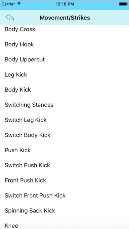 Muay Thai - Strikes, Counters, and Combos