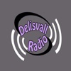 Delisvallradio App