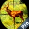 AdVenture Shooting Pro:The forest hunter in animal