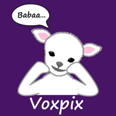 Activities of Voxpix