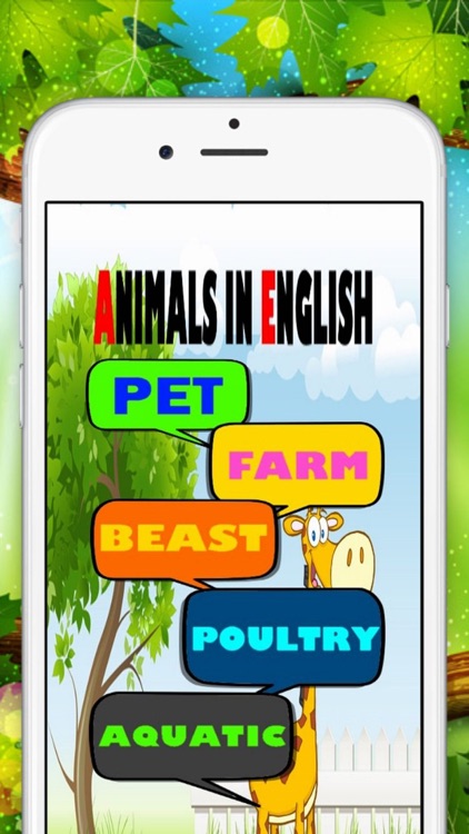 Animals in English Learn