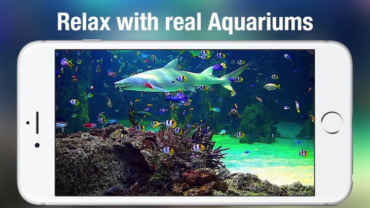 Aquarium Live +: Nature & coral reef ocean scenes