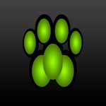 Cat Clicker Training