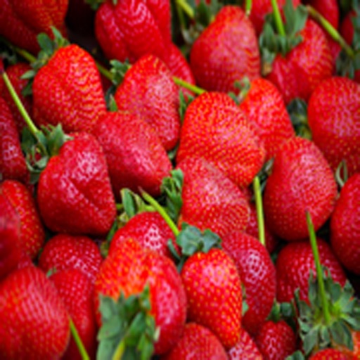 How To Grow Strawberries icon