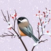 Garden Birds, Scenery, Greetings Text for Messages